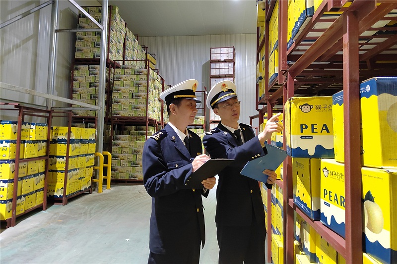 关员对待出口鲜梨开展现场监管+宋炳霞摄1