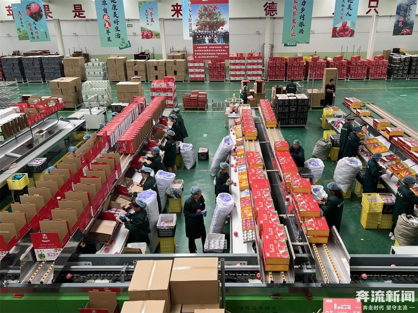 平凉圣梯对外贸易有限公司助力静宁苹果走出国外